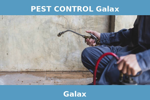 PEST CONTROL Galax